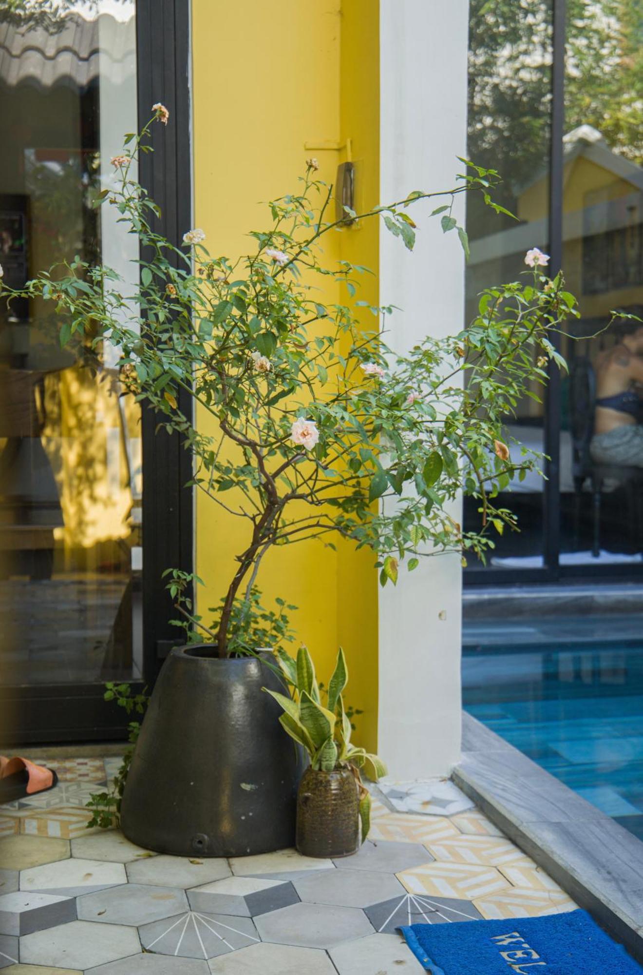 Rosie Villa Hoi An Exterior photo